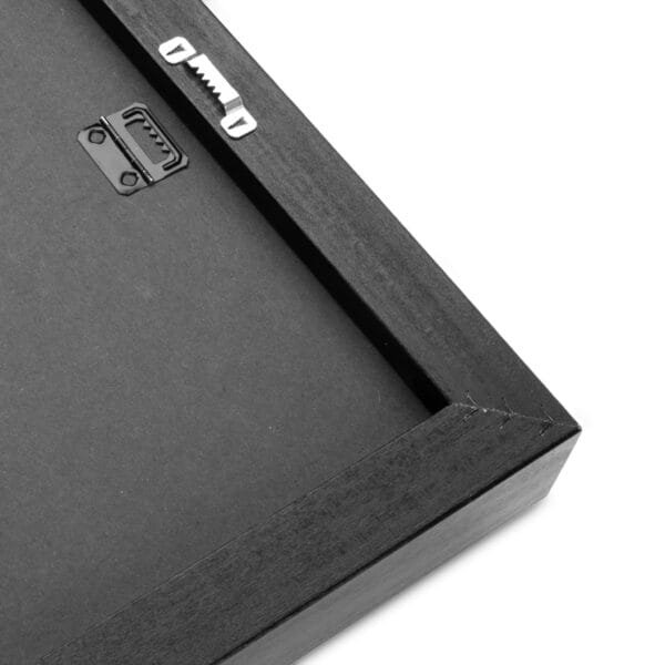 The Cloaked Enigma - Image 3