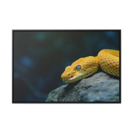 Golden Serpent's Gaze