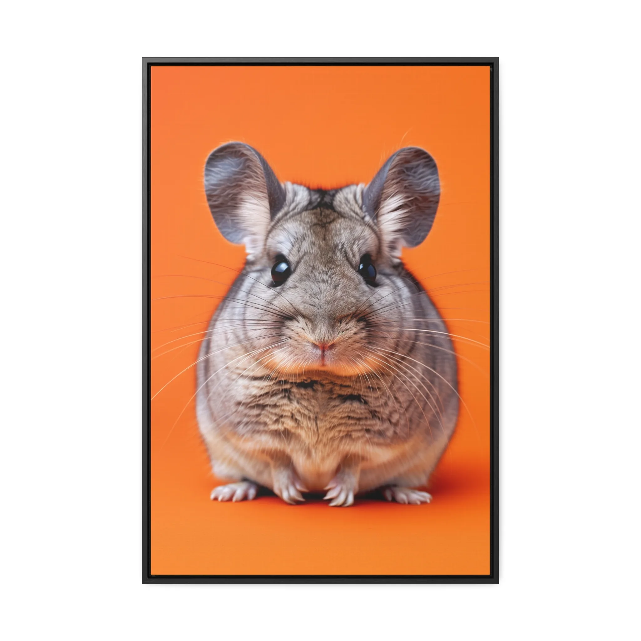 The Whiskered Charm