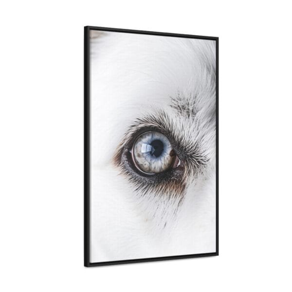 Azure Gaze - Image 2